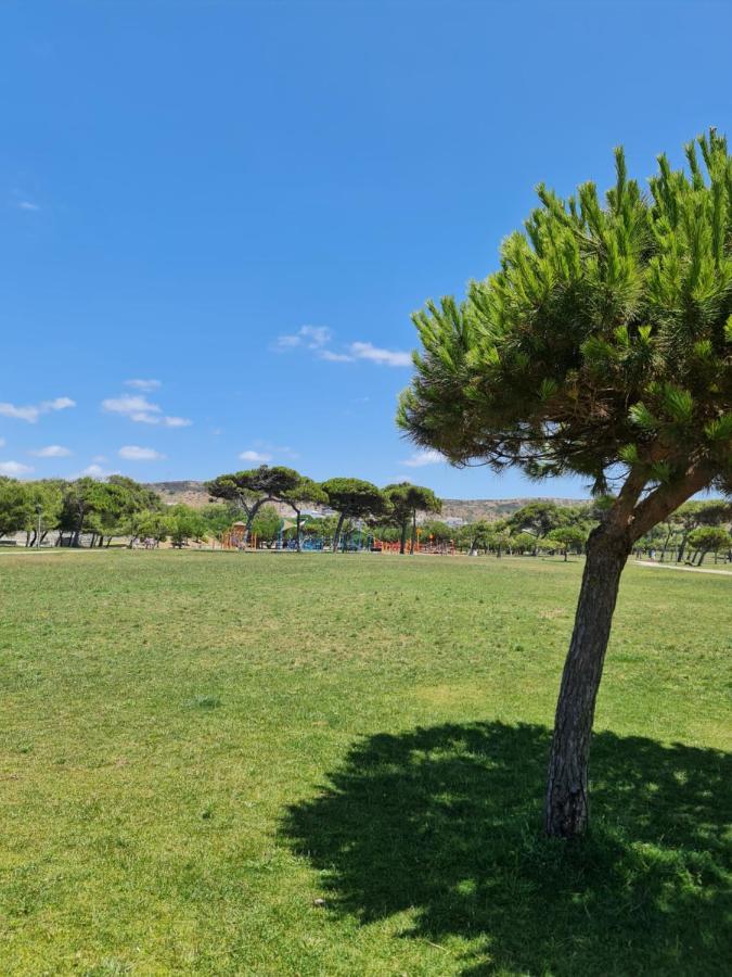 Front Beach Costa Caparica Lisbon Кошта-да-Капарика Экстерьер фото